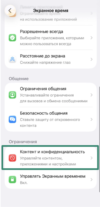Content & Privacy Restrictions screen on iPhone.