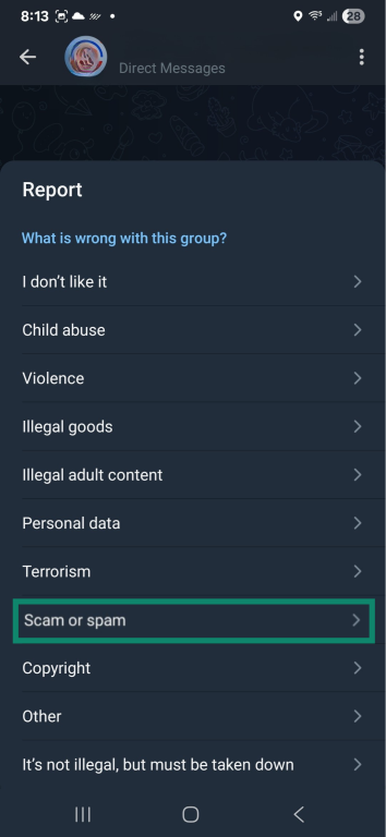 Telegram screen showing options for describing issues with a group.