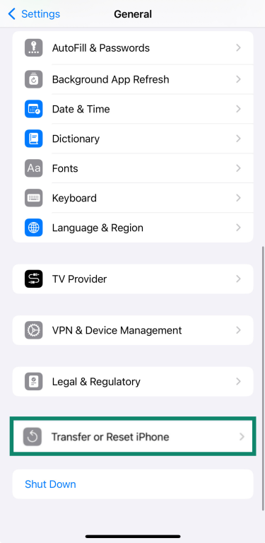 iPhone Software Update settings with Automatic Updates option highlighted.