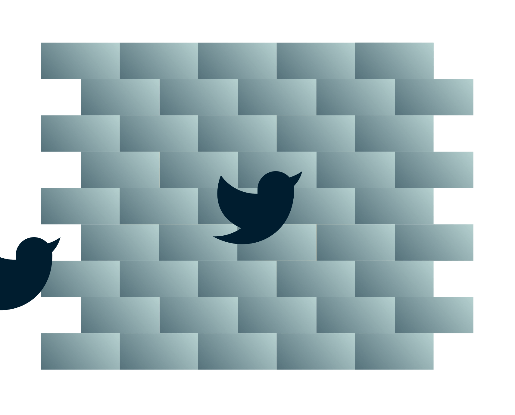 Pássaros do Twitter a caminho de uma parede.