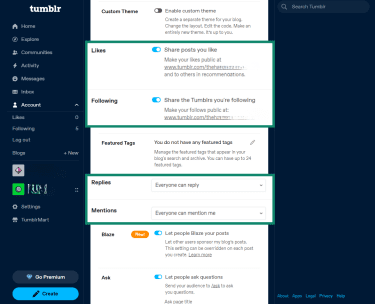 Some of the available privacy options on Tumblr