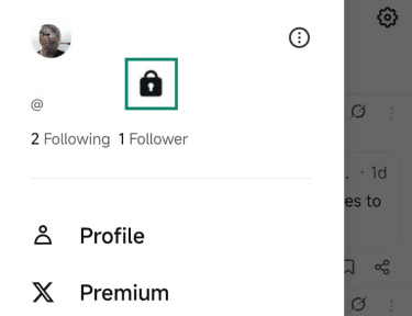 The lock icon next to your X name confirms that the privacy setting is enabled.
